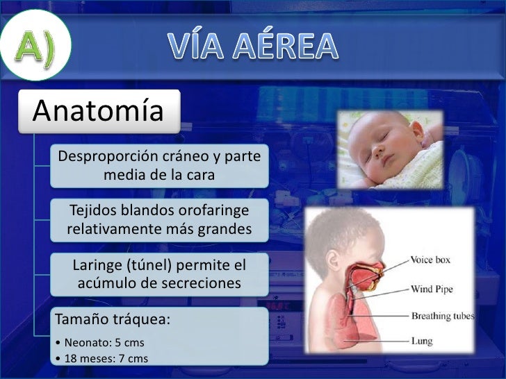 atls pediatrico